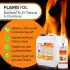 Höfer Chemie Bioethanol 96,6% (2l)