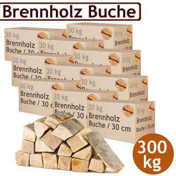 flameup Kaminholz Buche 300 kg
