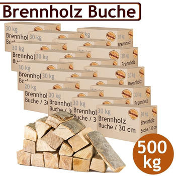 flameup Kaminholz Buche 500 kg