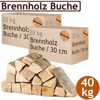 flameup Kaminholz Buche Holzscheite 30 cm 40 kg