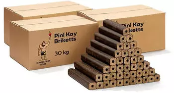 Neandertaler Feuer PiniKay Briketts 90 kg