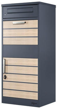 Zelsius Terra PBK6 (AB976324)