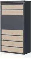 Zelsius Paketbriefkasten Buche, Anthrazit Ral 7016 Pulverbeschichteter Stahl...