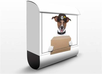 Bilderwelten I Hund mit Paket