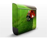 Bilderwelten Briefkasten Lady Bird grün