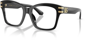 Dolce & Gabbana DG 3419 501