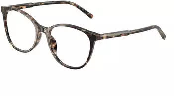 Dolce & Gabbana DG 3425 3438