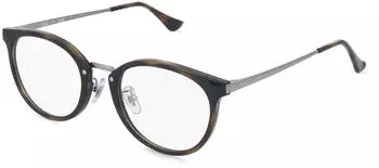 Ray-Ban RB7266D 2012