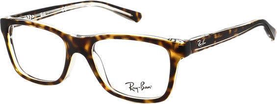 Ray-Ban RY1536 3529 black on transparent