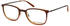 MARC O'POLO Eyewear 503087 60 (brown banded)