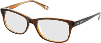 Superdry SDO15002 194 (dark brown on crystal)