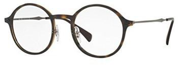 Ray-Ban Light Ray RX7087 2012 (dark brown/ruthenium)