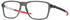 Oakley Wheel House OX8166