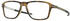 Oakley Wheel House OX8166