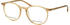MARC O'POLO Eyewear 503084