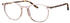 MARC O'POLO Eyewear 503084
