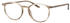 MARC O'POLO Eyewear 503084