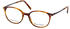 MARC O'POLO Eyewear 503172 60