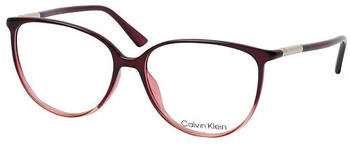 Calvin Klein CK 21521 605