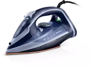 Berdsen 333001