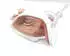 Tefal Easygliss Eco FV5780