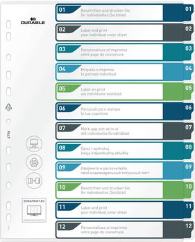 DURABLE Register A4+ 12-tlg. 1-12 mit farbigen Taben und transparentem Deckblatt PP (679627)