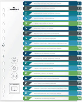 DURABLE Register A4+ 20-tlg. 1-20 mit farbigen Taben und transparentem Deckblatt PP (679727)