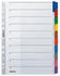 Leitz Register A4 blanko volle Höhe 160g Karton grau (43210000)