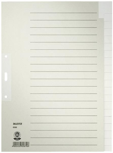 Leitz Register blanko DIN A4 Tauenpapier grau (60960085)