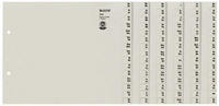 Leitz Registerserie A4 A-Z für 8 Ordner halbe Höhe grau (13080085)