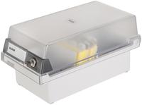 Han - Karteikasten Special Edition 13,3 X 12,3 X 25 Cm (b X H X T) Din A7 Quer 800