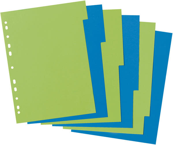 Herlitz GREENline Kartonregister A4 6-tlg. 2-farb. (50034918)