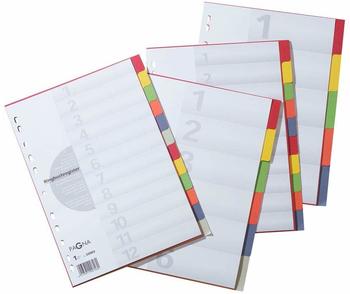 PAGNA Karton Register A4 blanko 10-teilig vollfarbig (32001-20)