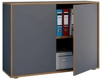 B&uuml;roschrank Aktenschrank Sideboard Salia 2fach