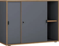 Aktenschrank Salia B100 Anthrazit/Honigeiche
