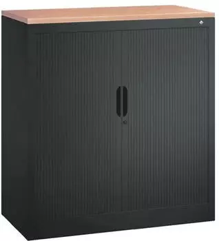 C+P Omnispace Rollladenschrank 2 Ordnerh&ouml;hen 1030x800x420mm (324100S10061)