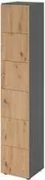 Hammerbacher-Schliessfachschrank 6OH Graphit/Ast.,6xDS-V264L6/G/R/DS