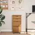 vidaXL MOSS Rollschrank mit Schubladen, Kiefer massiv, honigbraun (355903)