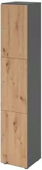 Hammerbacher Schlie&szlig;fachschrank 3 F&auml;cher, 6OH, graphit/Asteiche, 40x42x215,6cm (V264L3/G/R/DS)