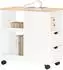 SoBuy Druckertisch mit Rollen und Schubladen, 60x30x60cm (FBT130-WN)