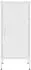 vidaXL Lagerschrank Stahl 42,5x35x101,5 cm (336197)