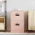 vidaXL Aktenschrank rosa, kaltgewalzter Stahl, 45,5x42x74,5cm (891611)