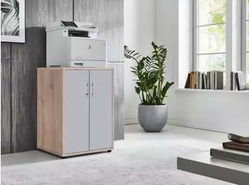 Mid.you Office Edition Aktenschrank grau/Sonoma Eiche, 2 Fächer, 54x74x50cm (001067015620)