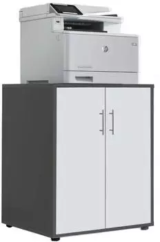 Mid.you Aktenschrank Office Edition 2 Fächer, 54x74x50cm, anthrazit/weiß (001067015615)