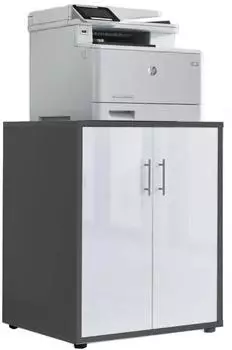 Mid.you Aktenschrank Office Edition 2 Fächer, 54x74x50cm, anthrazit/weiß Hochglanz (001067015614)
