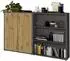 Mid.you Office Edition Aktenschrank anthrazit/Eiche Artisan, 4 Fächer, 168,8x113,6x33cm (001067017005)