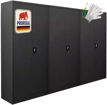 Proregal ELEPHANT Fl&uuml;gelt&uuml;renschrank 2 T&uuml;ren, 4 Ebenen, 180x80x40cm, schwarz (MRDZ4-06)