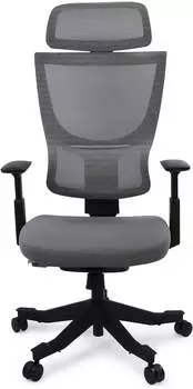 Flexispot BS8 Pro