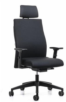 Interstuhl Ergonomic 179RS