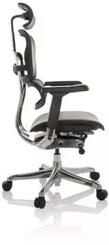 HJH Office Ergohuman Edition I Leder (652301) – Individuell anpassbare Armlehnen und Rückenlehne